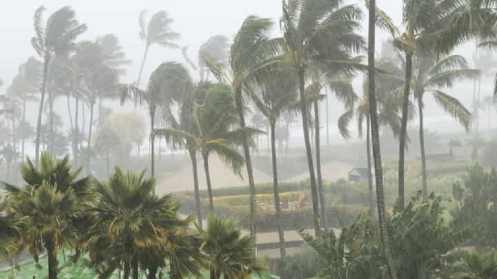 Maharashtra Rain : राज्यासाठी पुढील 5 दिवस चितेंचे... कुठे अतिमुसळधार पावसाचा अंदाज? कोणत्या जिल्ह्याला हवामान खात्याचा अलर्ट? Maharashtra Rain : राज्यासाठी पुढील 5 दिवस चितेंचे... कुठे अतिमुसळधार पावसाचा अंदाज? कोणत्या जिल्ह्याला हवामान खात्याचा अलर्ट?