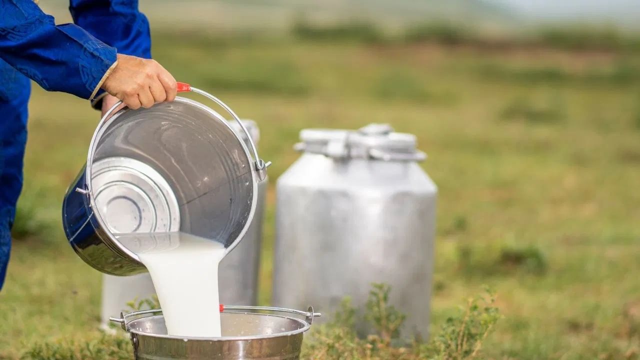 1947 मध्ये देशाला स्वतंत्र्य मिळालं तेव्हा दुधाची किंमत 12 पैसे प्रति लिटर होती, पण आज ती 66 रुपये प्रति लिटर झाली आहे.