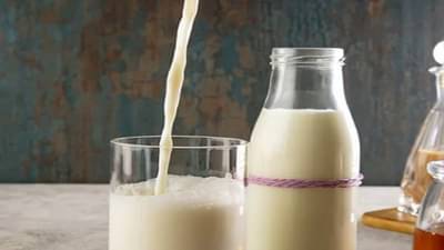 गाईचं की म्हशीचे नेमकं कोणतं दुध पचनासाठी ठरते फायदेशीर?