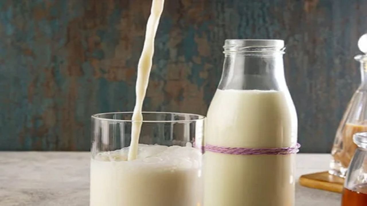 गाईचं की म्हशीचे नेमकं कोणतं दुध पचनासाठी ठरते फायदेशीर?