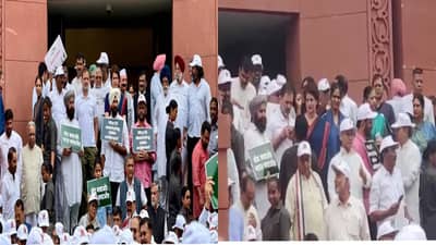 11 वर्षानंतर पहिल्यांदाच देशातील 300 खासदार एकवटले, निवडणूक आयोगाच्या विरोधात एल्गार; संसदेपासून मोर्चाला सुरुवात