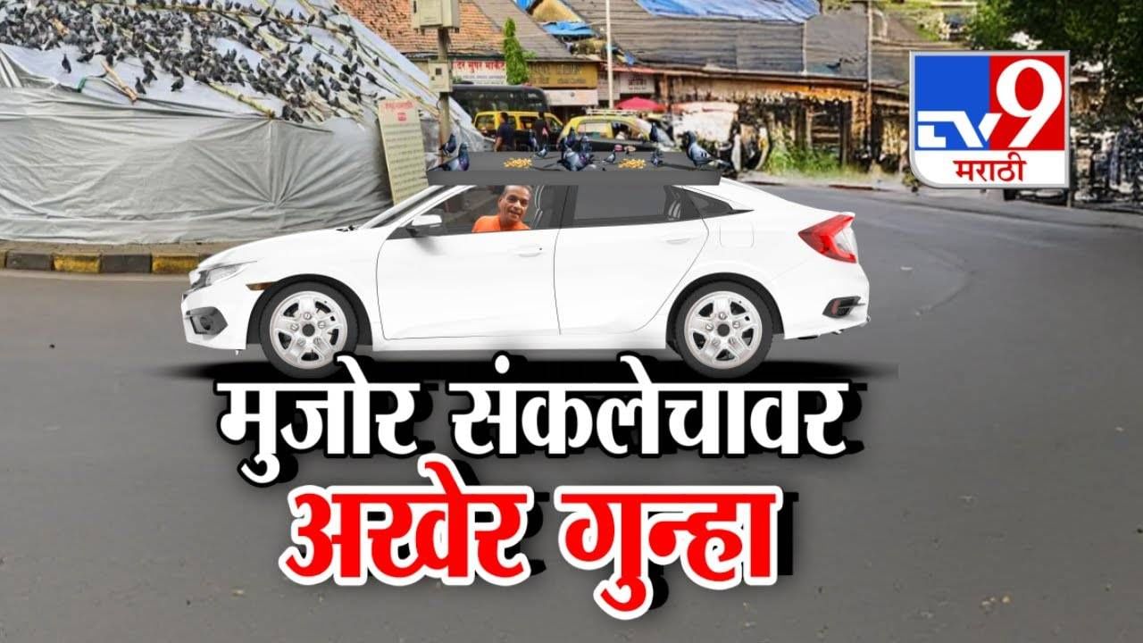 Dadar Pigeon Feeding : कबुतरांना दाणे टाकयला दादरला आला अन्... थेट कोर्ट, सरकारला चॅलेंज देणं पडलं महागात, घडलं काय?