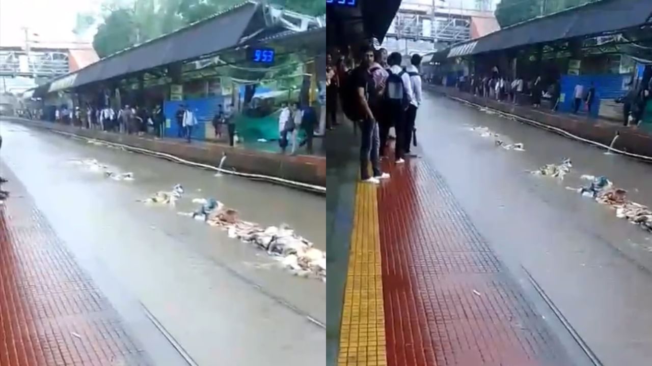 तसेच वडाळा आणि शिवडीजवळ रुळांवर पाणी साचल्यामुळे गाड्या अर्धा तासापेक्षा जास्त उशिराने धावत आहेत. डॉकयार्ड स्टेशनजवळ थांबलेल्या ट्रेनमधून प्रवासी खाली उतरून रुळांवरून चालत प्रवास करत असल्याचे दिसून आले आहे.