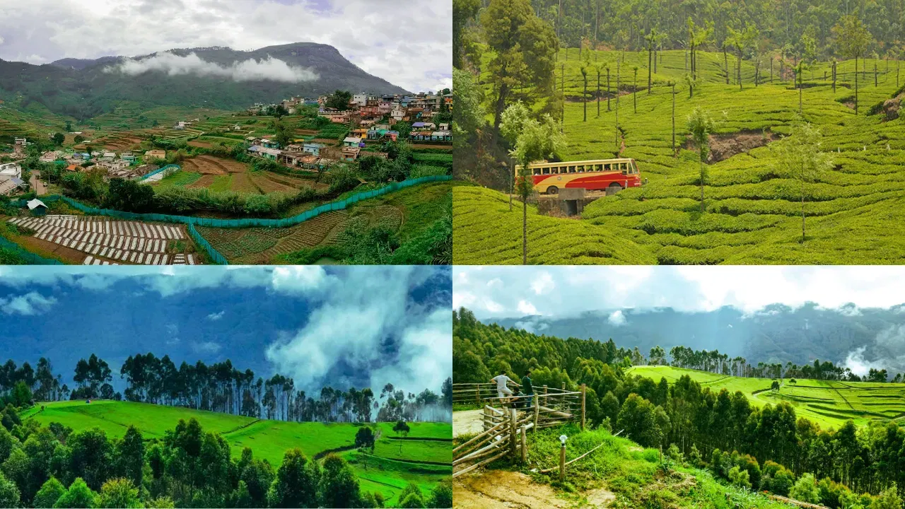 पावसाळ्यात फिरण्यासाठी उत्तम ठिकाण कोणती, जाणून घ्या