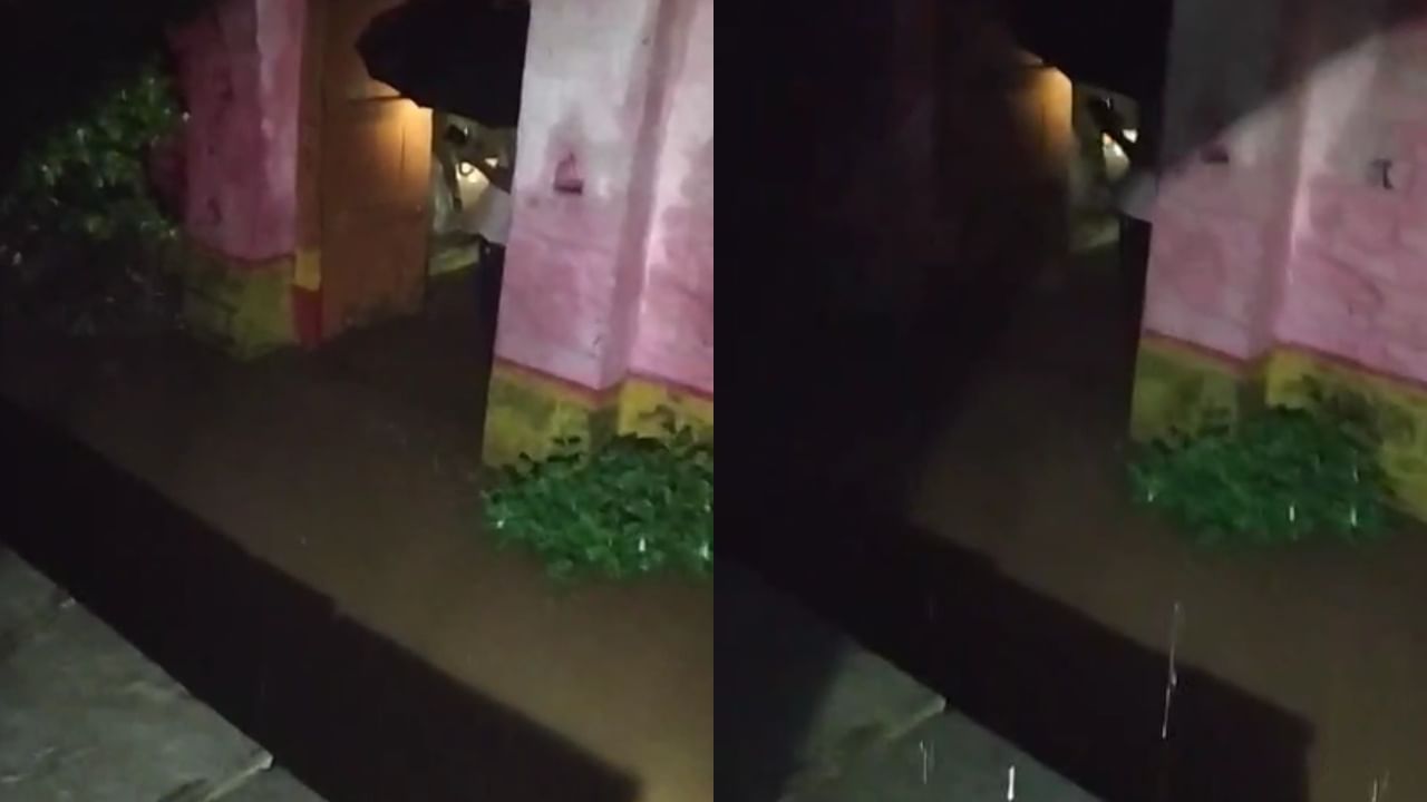 या पुरात मोठ्या प्रमाणात गुरंढोरं दगावल्याची भीती व्यक्त केली जात आहे. तसेच सध्या पूरग्रस्त नागरिक उपाशी आहेत. त्यासोबतच त्यांच्या बचावकार्यातही अडथळे येत आहेत.