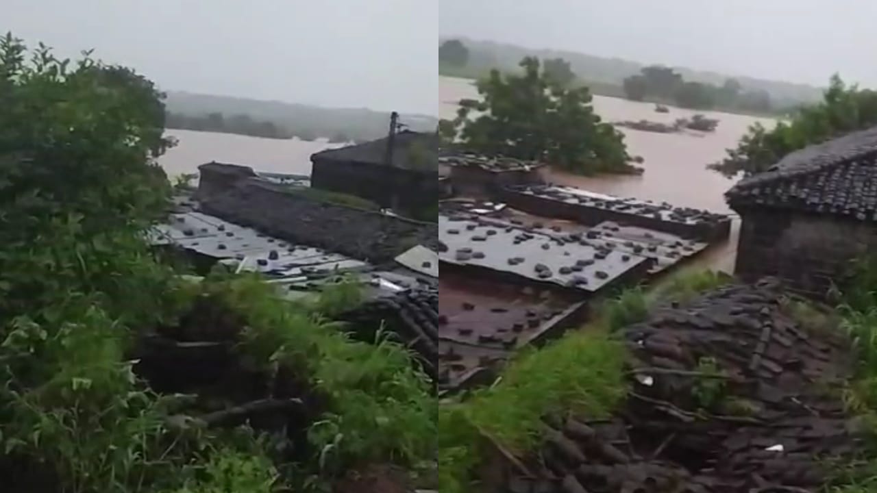 सध्या संपूर्ण महाराष्ट्रात मुसळधार पाऊस कोसळत आहे. सततच्या पावसामुळे नांदेड जिल्ह्यात पूरस्थिती निर्माण झाली आहे. यामुळे अनेक गावांना पूर आला असून जनजीवन विस्कळीत झाले आहे. सध्या युद्धपातळीवर बचावकार्य सुरू आहे.