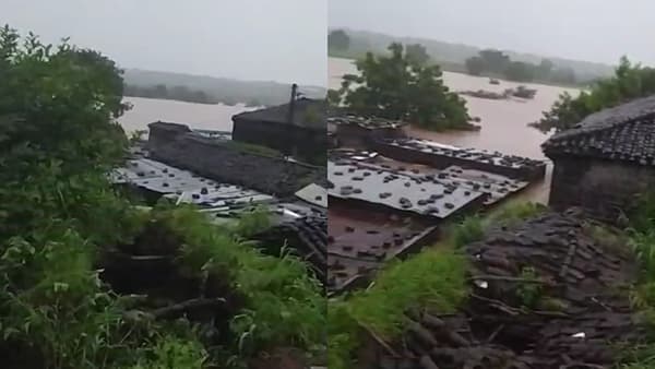 सध्या संपूर्ण महाराष्ट्रात मुसळधार पाऊस कोसळत आहे. सततच्या पावसामुळे नांदेड जिल्ह्यात पूरस्थिती निर्माण झाली आहे. यामुळे अनेक गावांना पूर आला असून जनजीवन विस्कळीत झाले आहे. सध्या युद्धपातळीवर बचावकार्य सुरू आहे.