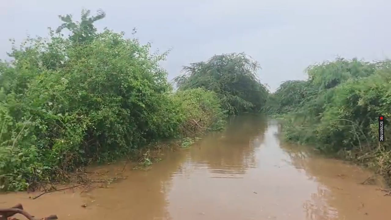 लेंडी नदीच्या पाणी पातळीतही लक्षणीय वाढ झाली आहे. यामुळे पुनर्वसित रावनगाव, भासवाडी, भिंगेली आणि हसनाळ गावात पाणी शिरले आहे. सध्या रावनगाव या ठिकाणी अंदाजे 225 नागरिक पुराच्या पाण्यात अडकले आहेत. त्यांना बाहेर काढण्यासाठी एनडीआरएफचे बचावकार्य सुरू आहे.