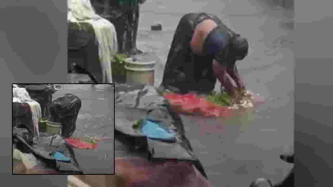 Mumbai Rain : ईईईईई... गटाराच्या पाण्यात धुतल्या भाज्या अन्... पुढे बघा काय केलं? भाजी विक्रेत्या महिलेचा VIDEO व्हायरल
