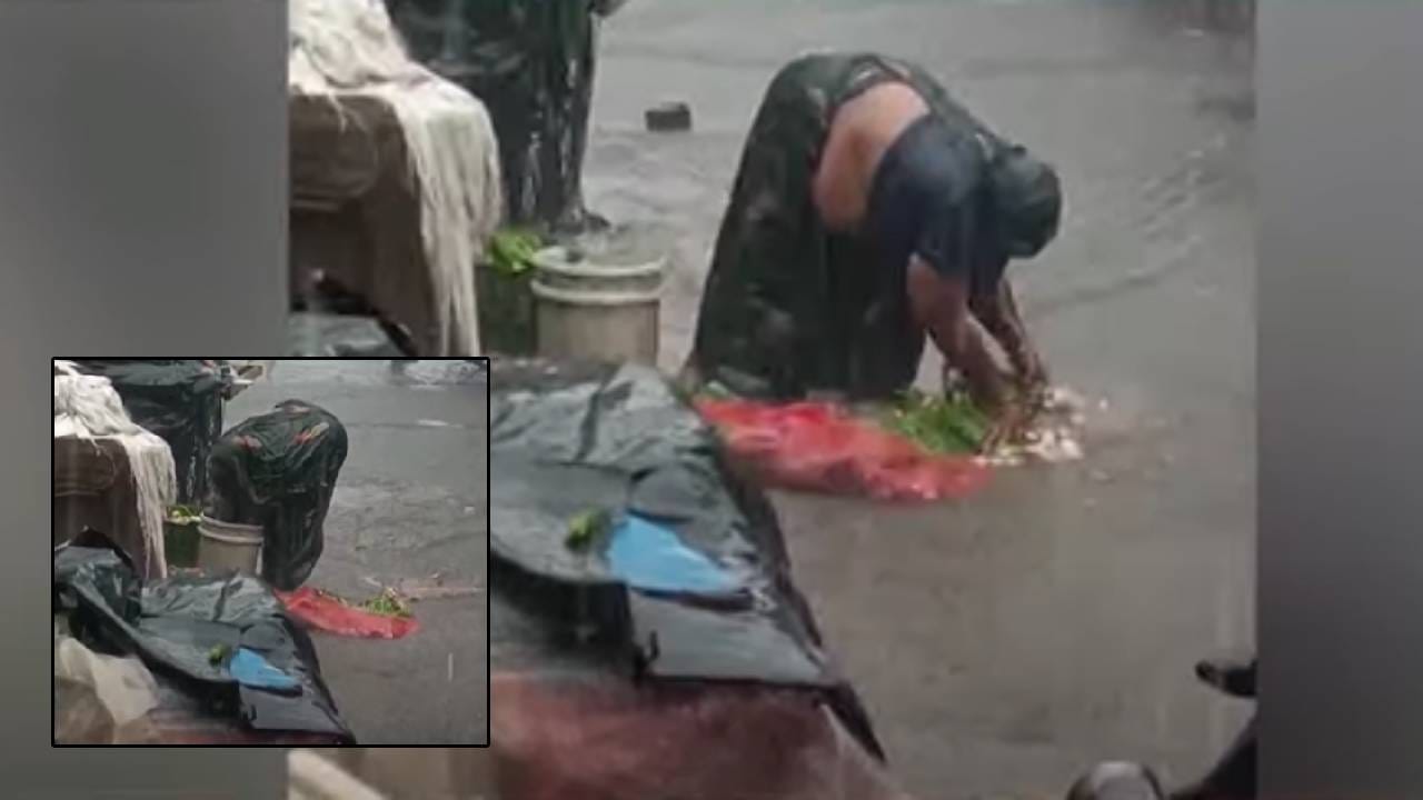 Mumbai Rain : ईईईईई... गटाराच्या पाण्यात धुतल्या भाज्या अन्... पुढे बघा काय केलं? भाजी विक्रेत्या महिलेचा VIDEO व्हायरल