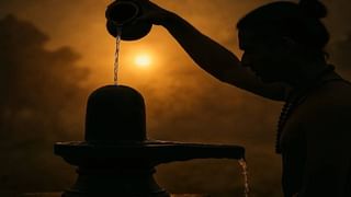 घरातील या कोपऱ्यात बेल पत्र लावा, महादेव नेहमी राहातील प्रसन्न….
