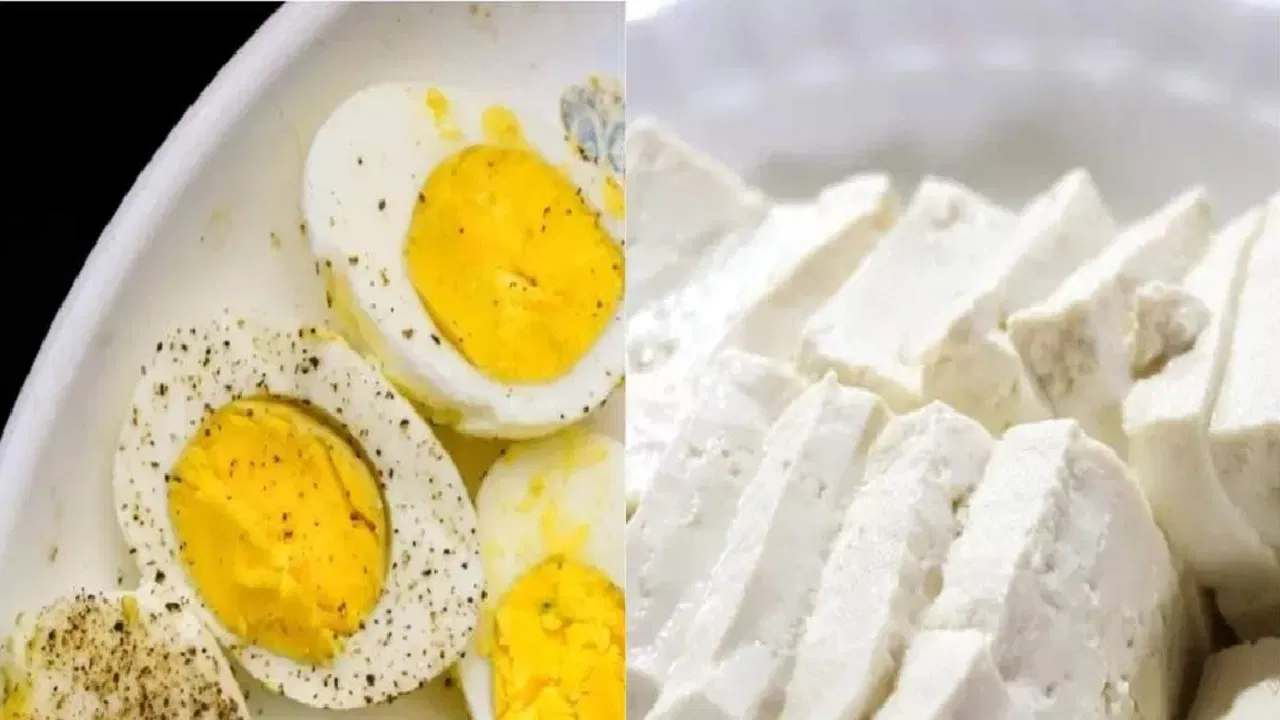 या दोन्ही पदार्थांची तुलना केल्यास पनीरमध्ये अंड्यांपेक्षा जास्त प्रोटीन आढळते. तुम्ही तुमच्या आवडीनुसार वेगवेगळ्या प्रकारे पनीरचा आहारात समावेश करु शकता.