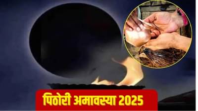 पिठोरी आमावस्येच्या दिवशी या पद्धतीनं उपाय केल्यास नकारात्मकता होईल दूर....