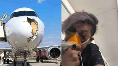 7 हजार फुटावर विमान, अचानक धडकला पक्षी, पुढं घडलं असं काही की...हादरवून टाकणारी घटना समोर!