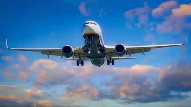 विमान हजार फूट उंचावर गेल्यावर अचानक महिला किंचाळायला लागल्या, इवल्याश्या प्राण्यामुळे... काय घडलं अमेरिकेहून मुंबईला येणाऱ्या फ्लाइटमध्ये?