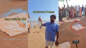 हा म्हावरा नव्हे, काळं सोनं... दीड किलोचा मासा 18 हजाराला विकला.