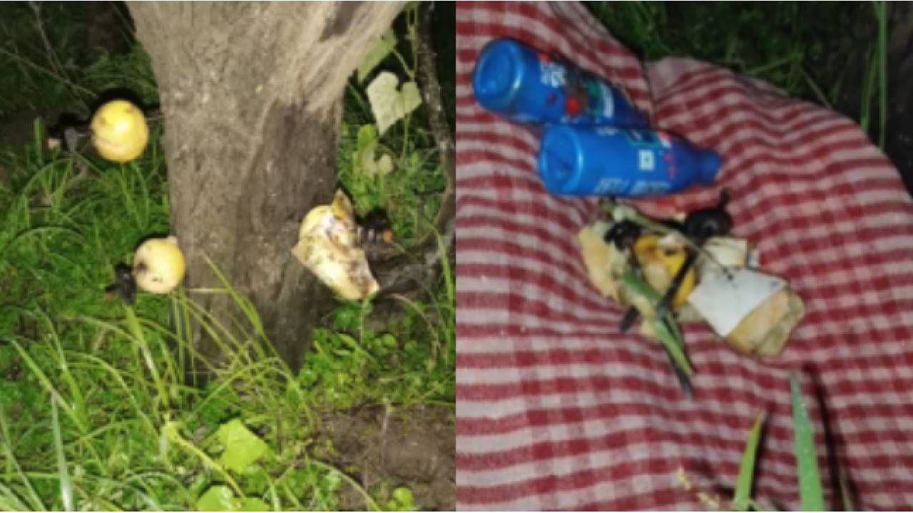 बाभळीच्या झाडाला माजी सरपंच आणि इतर 2 जणांचा फोटो..लिंब, खिळे, बाहूली...पुणे जिल्हातील धक्कादायक प्रकार बाभळीच्या झाडाला माजी सरपंच आणि इतर 2 जणांचा फोटो..लिंब, खिळे, बाहूली...पुणे जिल्हातील धक्कादायक प्रकार
