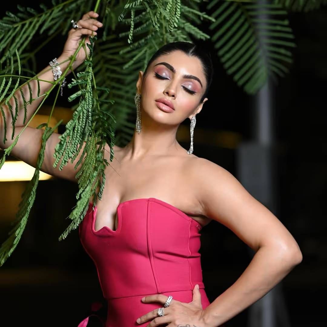 बॉलिवूड बबल सोबत बोलताना आकांक्षा पुरी त्या घटनेबद्दल सांगितलं. पाऊस सुरु होता. पूलचं पाणी बर्फासारखं थंड होतं. मी लॉन्ग, हेवी गाऊन परिधान केलेला. त्याचवेळी ड्रेसचा स्ट्रॅप उघडला गेला आणि गाऊन समोरुन खाली आला. 