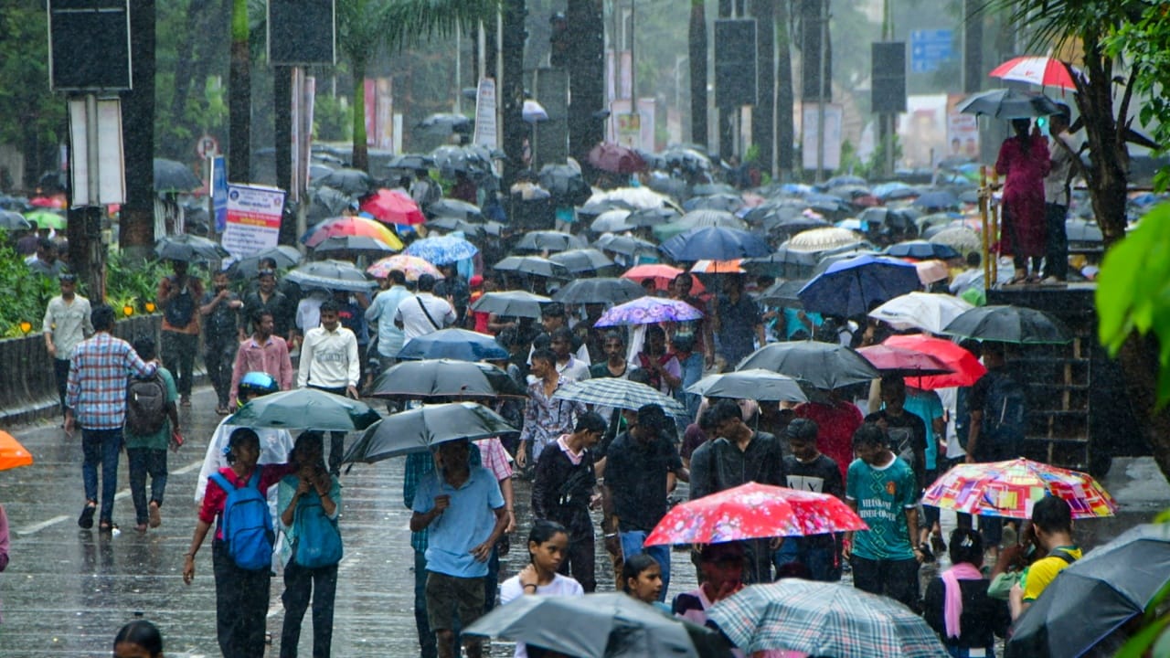 या वाहनांमध्ये हत्ती, बेडूक, घोडा, मेंढा, म्हैस, मोर, गाढव किंवा उंदीर अशा प्राण्यांचा समावेश असतो. ही नक्षत्रांची वाहने कशी ठरतात आणि त्यावरून पावसाचा अंदाज कसा घेतला जातो, हे जाणून घेणे गरजेचे आहे.