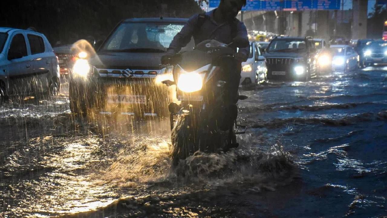 विदर्भात राहणार पावसाचा जोरदार, ऑगस्ट महिन्यात कसा असणार पाऊस, मोठा अंदाज विदर्भात राहणार पावसाचा जोरदार, ऑगस्ट महिन्यात कसा असणार पाऊस, मोठा अंदाज