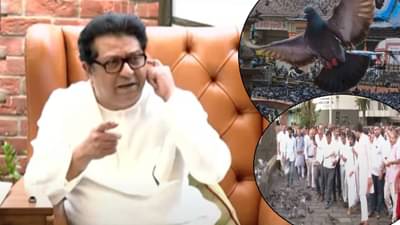 Raj Thackeray : कोण जैन लोकं? जे कबुतरांवर बसून फिरायला जातात! राज ठाकरे नेमकं काय म्हणाले?
