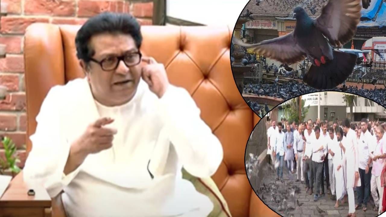 Raj Thackeray : कोण जैन लोकं? जे कबुतरांवर बसून फिरायला जातात! राज ठाकरे नेमकं काय म्हणाले? Raj Thackeray : कोण जैन लोकं? जे कबुतरांवर बसून फिरायला जातात! राज ठाकरे नेमकं काय म्हणाले?