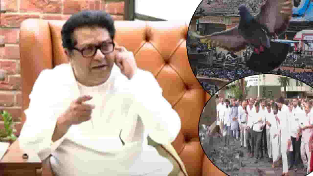 Raj Thackeray : कोण जैन लोकं? जे कबुतरांवर बसून फिरायला जातात! राज ठाकरे नेमकं काय म्हणाले? Raj Thackeray : कोण जैन लोकं? जे कबुतरांवर बसून फिरायला जातात! राज ठाकरे नेमकं काय म्हणाले?