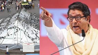 मराठी लोकांना मारहाण, धक्काबुक्की... मुंबईतील कबुतरखाना वाद पेटला, राज ठाकरे संतापले, म्हणाले जैन मुनी...!
