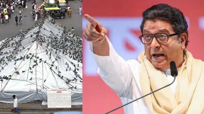 मराठी लोकांना मारहाण, धक्काबुक्की... मुंबईतील कबुतरखाना वाद पेटला, राज ठाकरे संतापले, म्हणाले जैन मुनी...!