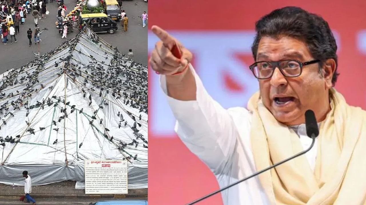 मराठी लोकांना मारहाण, धक्काबुक्की... मुंबईतील कबुतरखाना वाद पेटला, राज ठाकरे संतापले, म्हणाले जैन मुनी...!