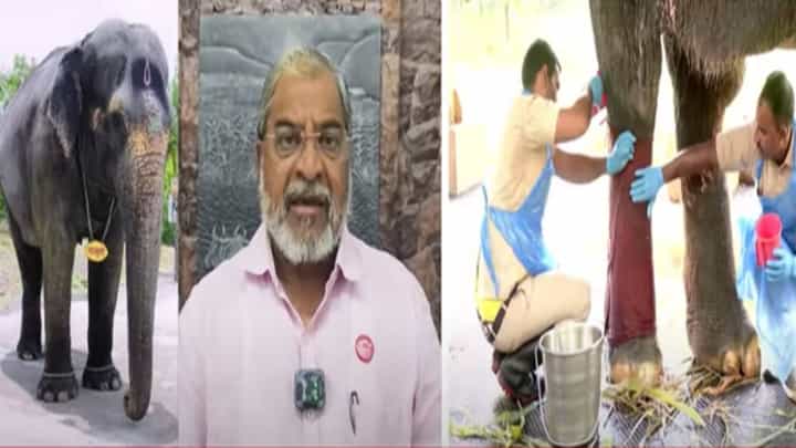 Raju Shetty : माधुरीचा वाद सुरू असतानाच राजू शेट्टींकडून अनंत अंबानीचं कौतुक, असं काय म्हणाले...? Raju Shetty : माधुरीचा वाद सुरू असतानाच राजू शेट्टींकडून अनंत अंबानीचं कौतुक, असं काय म्हणाले...?