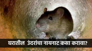 झाडं सुकलीत ? घरातलेच हे पदार्थ कुंडीत टाका आणि पहा कमाल