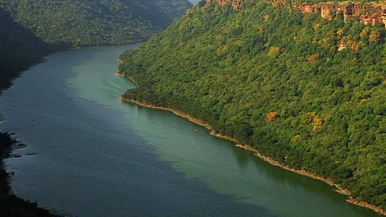 तुम्ही अशा अनेक नद्यांबद्दल ऐकले असेल ज्यांना पवित्र मानले जाते आणि मोक्ष देतात, असंही म्हटलं जातं. पण आज आम्ही तुम्हाला अशा नदीबद्दल सांगणार आहोत जी शापित मानली जाते. या नदीची ना पूजा केली जाते ना लोक त्यात स्नान करतात.