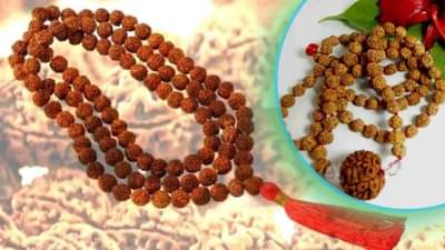१३ मुखी रूद्राक्ष घालण्याचे फायदे तुम्हाला माहिती आहेत का?