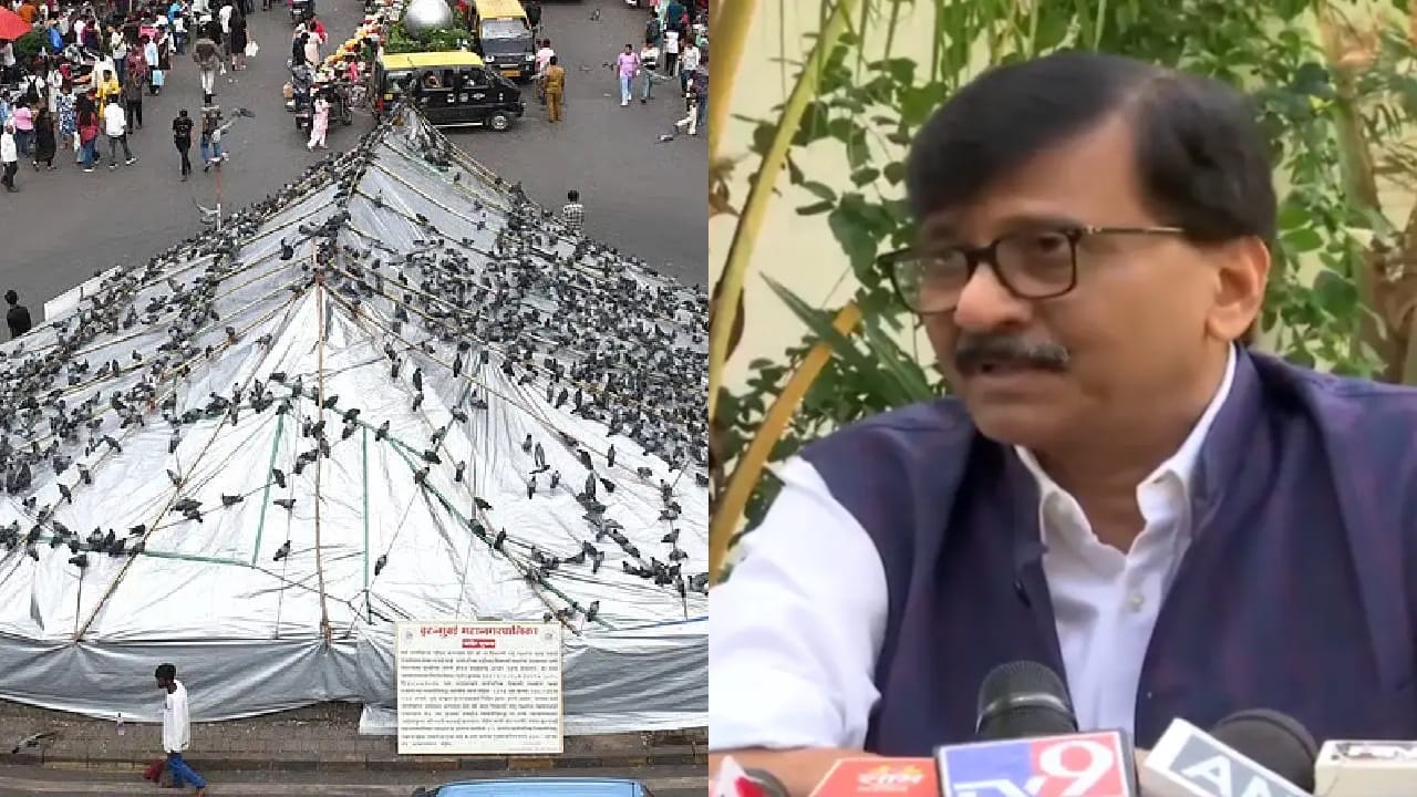 देशात धर्माच्या नावाने फालतू..., कबुतरखान्याच्या मुद्द्यावरुन ठाकरे गटाचा घणाघात
