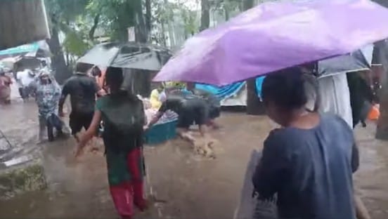 पालक, विद्यार्थ्यांत पसरलेल्या याच संभ्रमामाबत शालेय शिक्षणमंत्री दादा भुसे यांनी महत्त्वाची माहिती दिली आहे. त्यांनी दिलेल्या माहितीमुळे पाकल तसेच विद्यार्थ्यांमधील संभ्रम दूर झाला आहे. स्थानिक परिस्थिती पाहून अधिकाऱ्यांनी सुट्टीबाबत निर्णय घ्यावा, असे भुसे यांनी सांगितले आहे. 