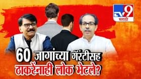 ठाकरेंनाही ती गॅरंटी देणारे लोक भेटले? राऊतांच्या दाव्यावर CM म्हणाले ठाकरेंनाही ती गॅरंटी देणारे लोक भेटले? राऊतांच्या दाव्यावर CM म्हणाले