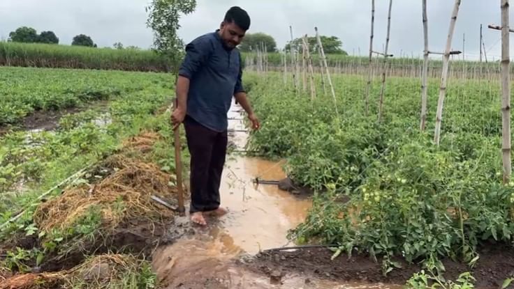 सोलापूरात पावसाने मोहोळ बेगमपुरात शेतात साचलेल्या पाण्यात बसून युवा शेतकऱ्याने कृषीमंत्री दत्तात्रय भरणे यांना आर्त हाक दिली आहे.