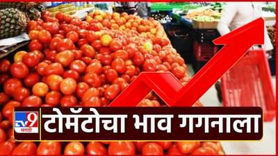 Tomato Price : टोमॅटो लालेलाल; किंमती वाढल्याने ग्राहक धास्तावला, गगनाला भिडणार भाव?