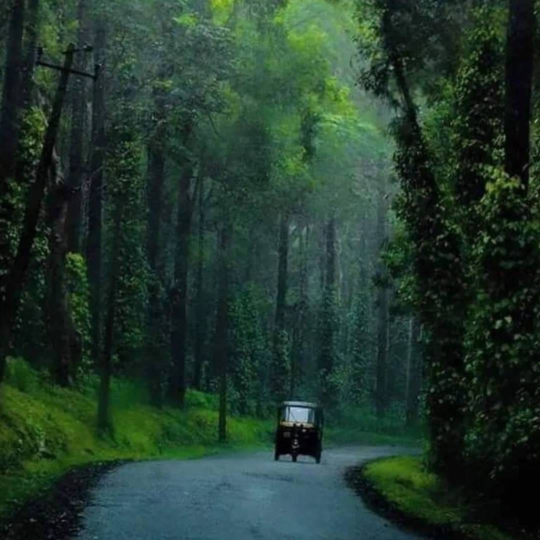 केरळ मान्सूनमध्ये फिरण्यासाठी एक उत्तम जागा आहे. कुर्ग आणि मुन्नारच सौंदर्य पर्यटकांना प्रेमात पाडतं. इथे आयुष्यभर डोळ्यात साठवून ठेवता येईल इतकं निसर्गाच सुंदर रुप पहायला मिळतं. कुर्ग आणि मुन्नार या दोघांपैकी कुठल्या ठिकाणी जाणं बेस्ट राहिलं जाणून घ्या.  