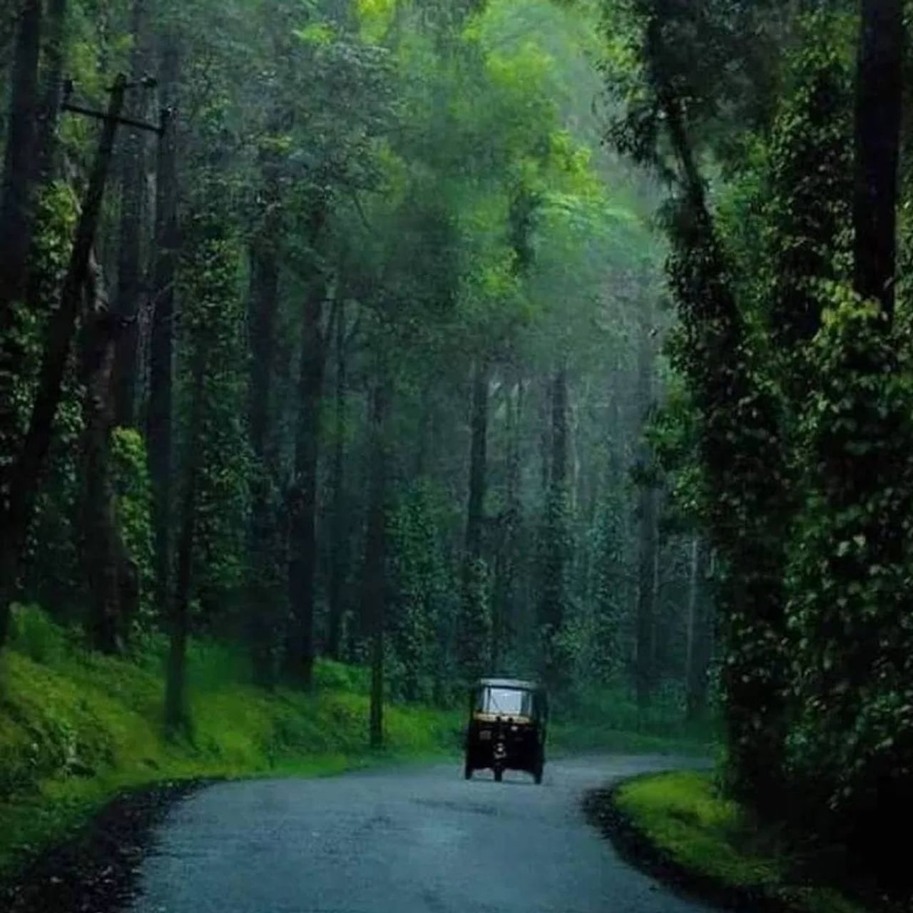केरळ मान्सूनमध्ये फिरण्यासाठी एक उत्तम जागा आहे. कुर्ग आणि मुन्नारच सौंदर्य पर्यटकांना प्रेमात पाडतं. इथे आयुष्यभर डोळ्यात साठवून ठेवता येईल इतकं निसर्गाच सुंदर रुप पहायला मिळतं. कुर्ग आणि मुन्नार या दोघांपैकी कुठल्या ठिकाणी जाणं बेस्ट राहिलं जाणून घ्या.  