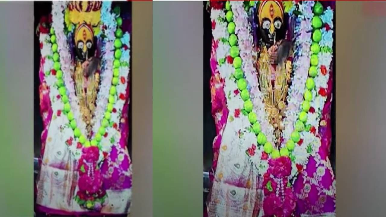 Dharashiv VIDEO: अय्यो.... हे काय! तुळभवानीच्या अंगा-खांद्यावर उंदरांचा सुळसुळाट, Online दर्शनादरम्यान भाविकाला दिसला उंदिरमामा
