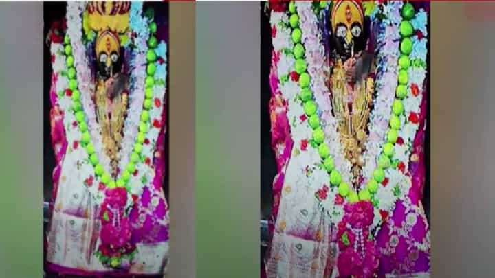 Dharashiv VIDEO: अय्यो.... हे काय! तुळभवानीच्या अंगा-खांद्यावर उंदरांचा सुळसुळाट, Online दर्शनादरम्यान भाविकाला दिसला उंदिरमामा Dharashiv VIDEO: अय्यो.... हे काय! तुळभवानीच्या अंगा-खांद्यावर उंदरांचा सुळसुळाट, Online दर्शनादरम्यान भाविकाला दिसला उंदिरमामा