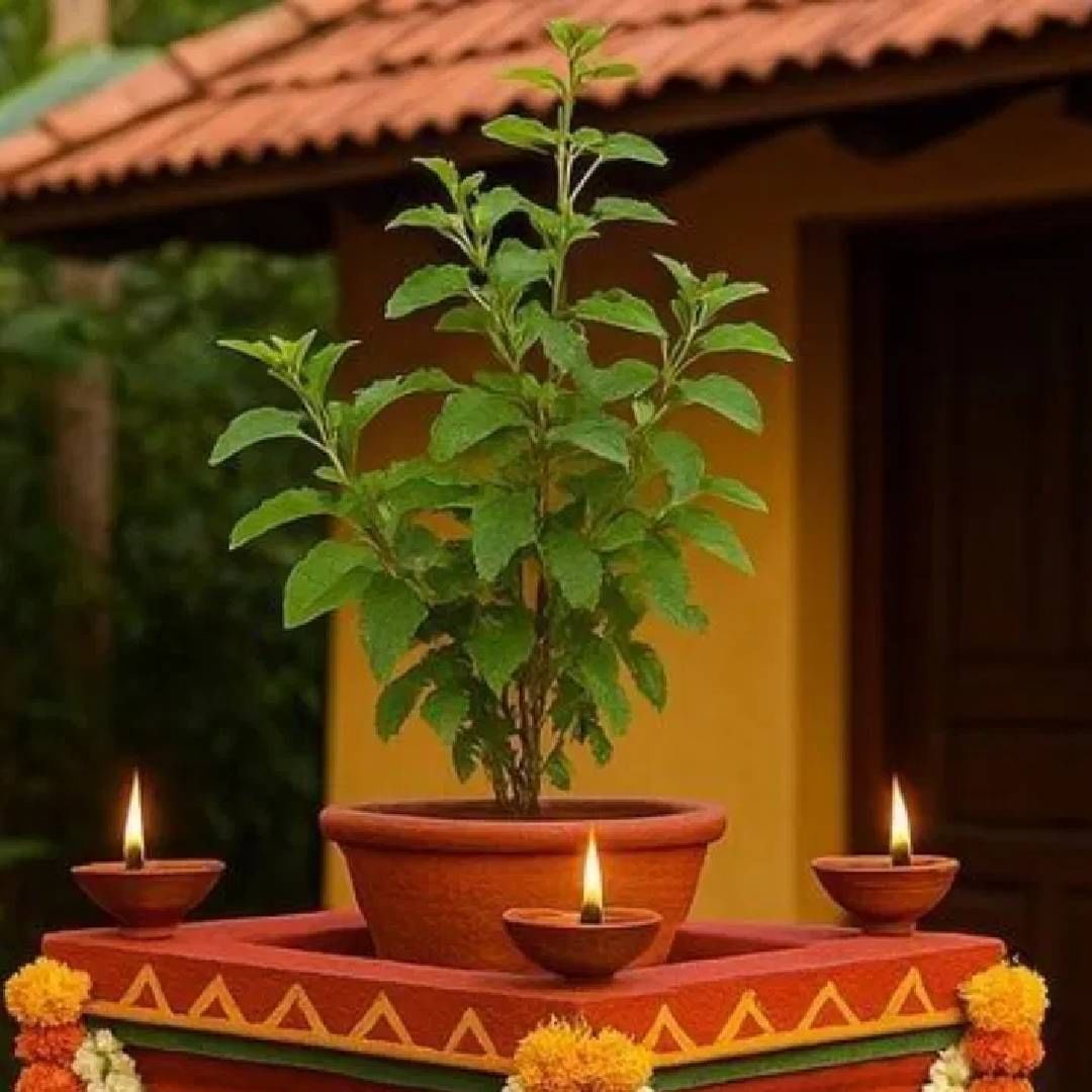 श्री गणेशाने तुळशीचा प्रस्ताव धुडकावला. त्यामुळे तुळशी क्रोधित झाली. तिने गणेशाला शाप दिला की, तुमचे दोन विवाह होतील. त्यावेळी गणेशाने सुद्धा तुळशीला शाप दिला की, तिचा विवाह एका असुराशी होईल.