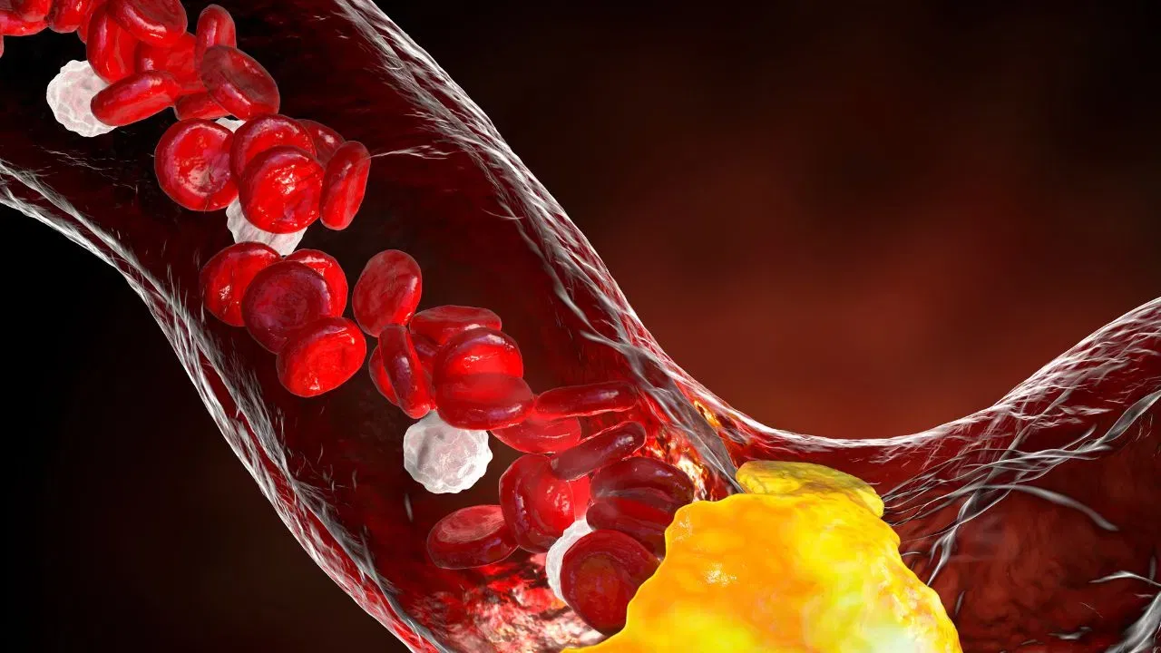 (डिस्क्लेमर : वरील माहिती उपलब्ध स्रोतावरून देण्यात आलेली आहे. याच्या तथ्यांबद्दल आम्ही कुठलाही दावा करीत नाही. तसेच डॉक्टरांचा सल्ला घेऊन सेवन करावे)