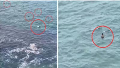 समुद्रात अचानक दिसले आश्चर्यकारक दृश्य, व्हिडीओने इंटरनेटवर खळबळ Viral