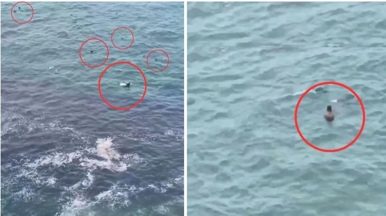 समुद्रात अचानक दिसले आश्चर्यकारक दृश्य, व्हिडीओने इंटरनेटवर खळबळ Viral
