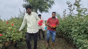 3 महिन्यात 6 लाख कमावले, एका प्रयोगाने शेतकरी झाला लखपती!.