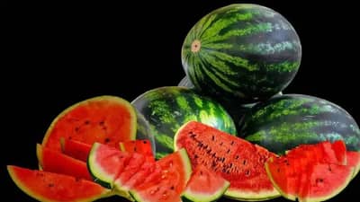 जगातील सर्वात मोठं कलिंगड, वजन इतकं जास्त की उचलायला बोलवावी लागली क्रेन