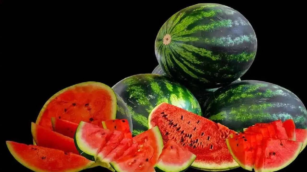 जगातील सर्वात मोठं कलिंगड, वजन इतकं जास्त की उचलायला बोलवावी लागली क्रेन जगातील सर्वात मोठं कलिंगड, वजन इतकं जास्त की उचलायला बोलवावी लागली क्रेन